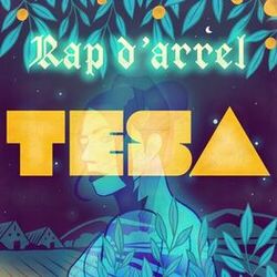 Cover of Rap d'arrel