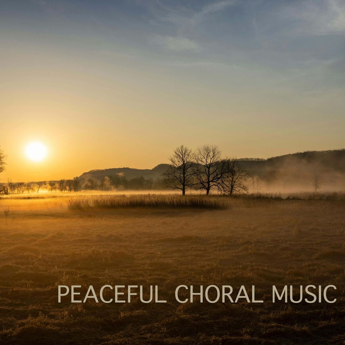 Album cover of Peaceful Choral Music