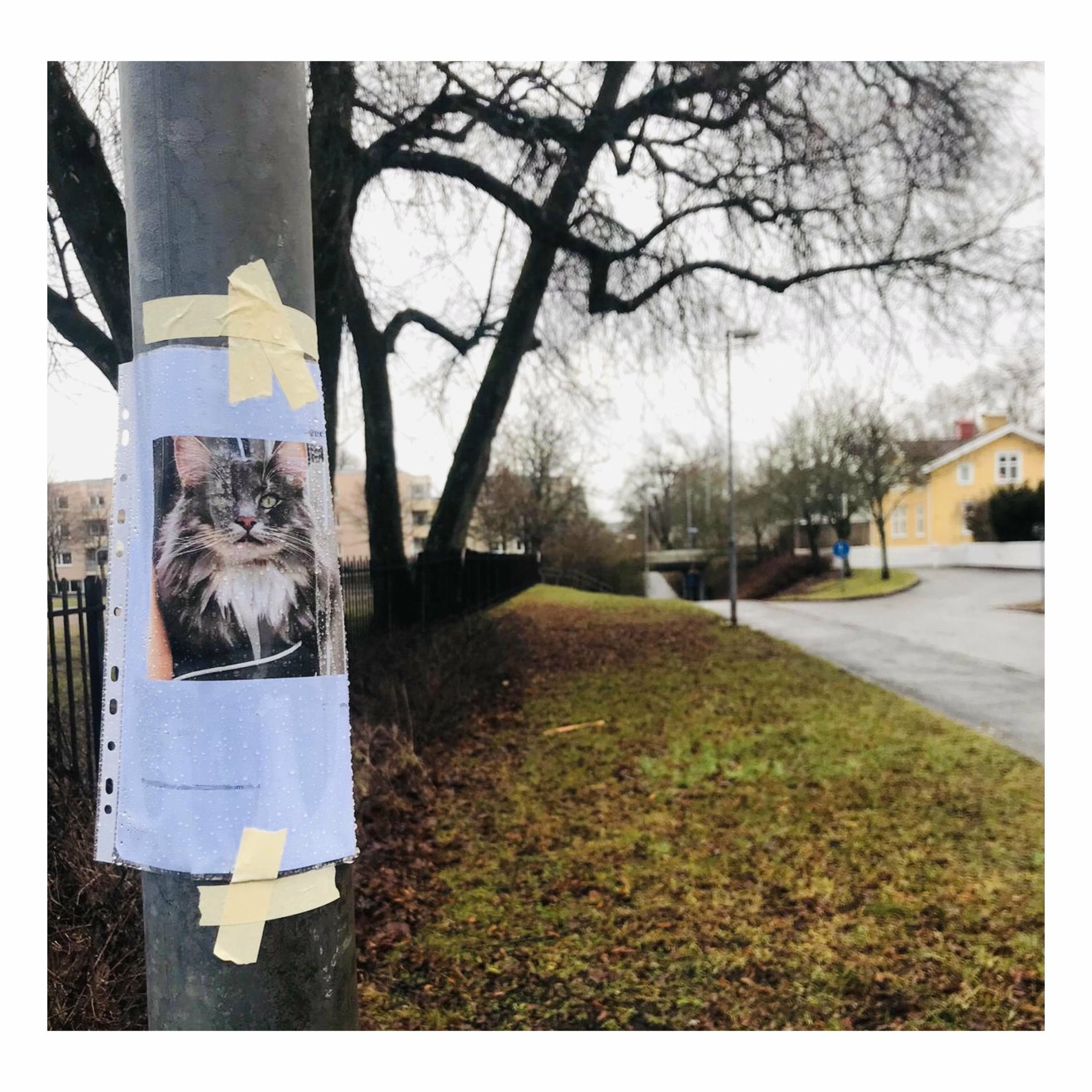 Album cover of Vi kanske borde känt nånting