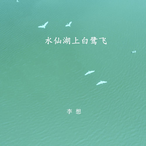 水仙湖上白鹭飞