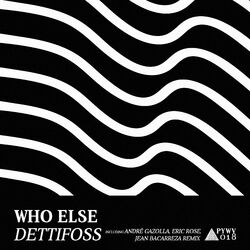 Cover of Dettifoss