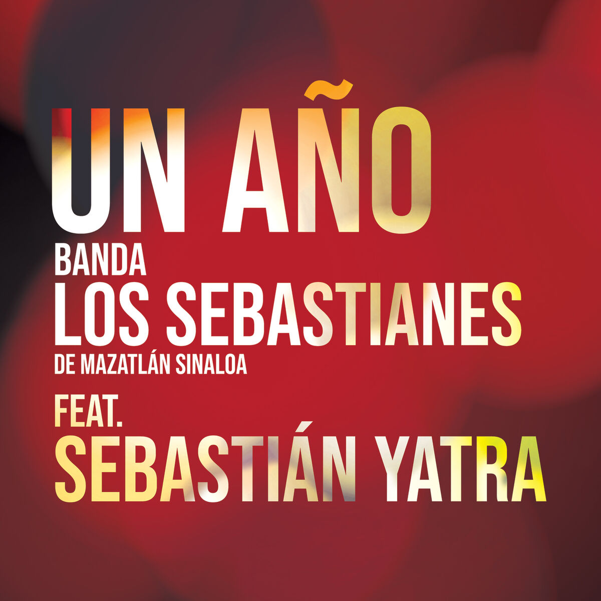 Album cover of Un Año