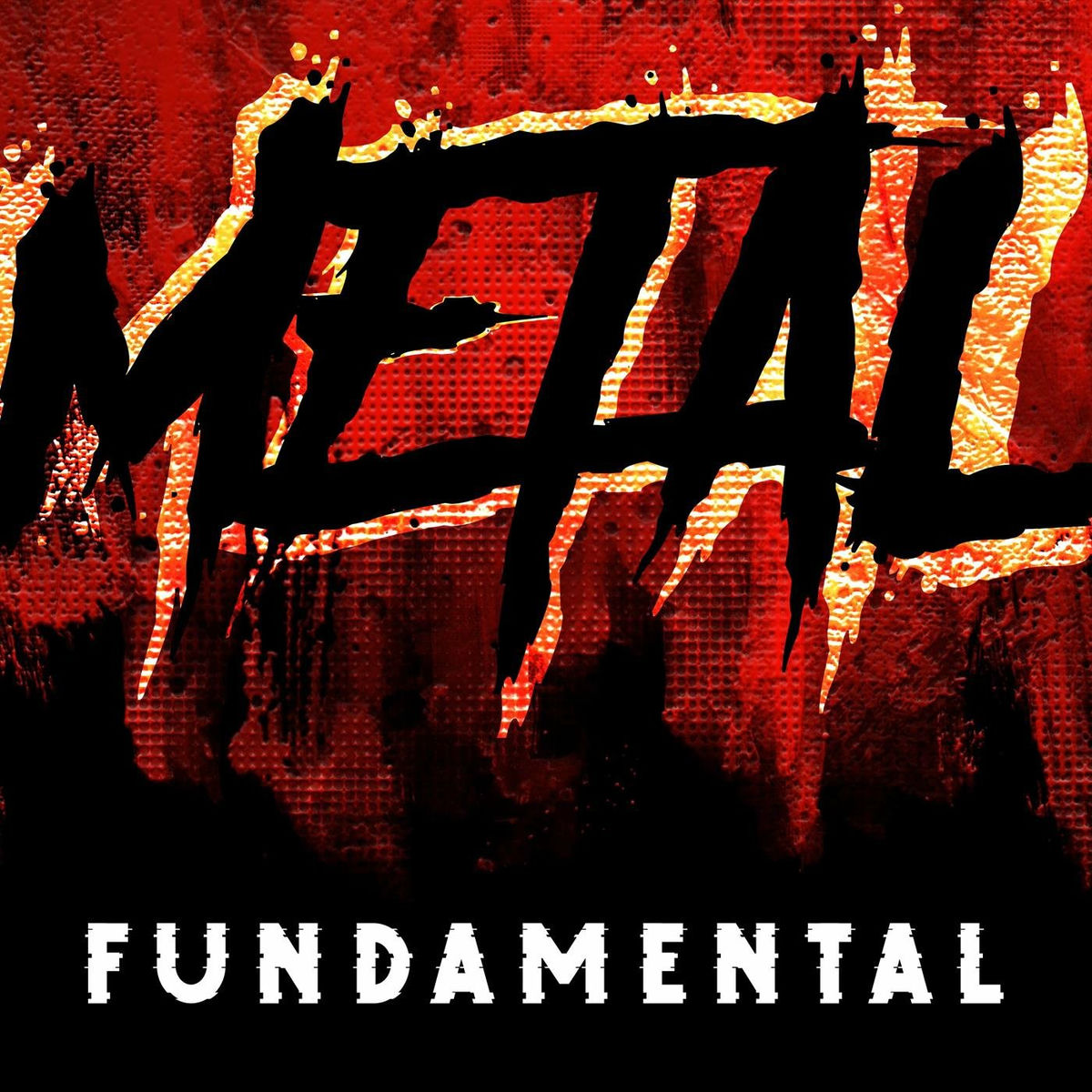 Album cover of Metal Fundamental
