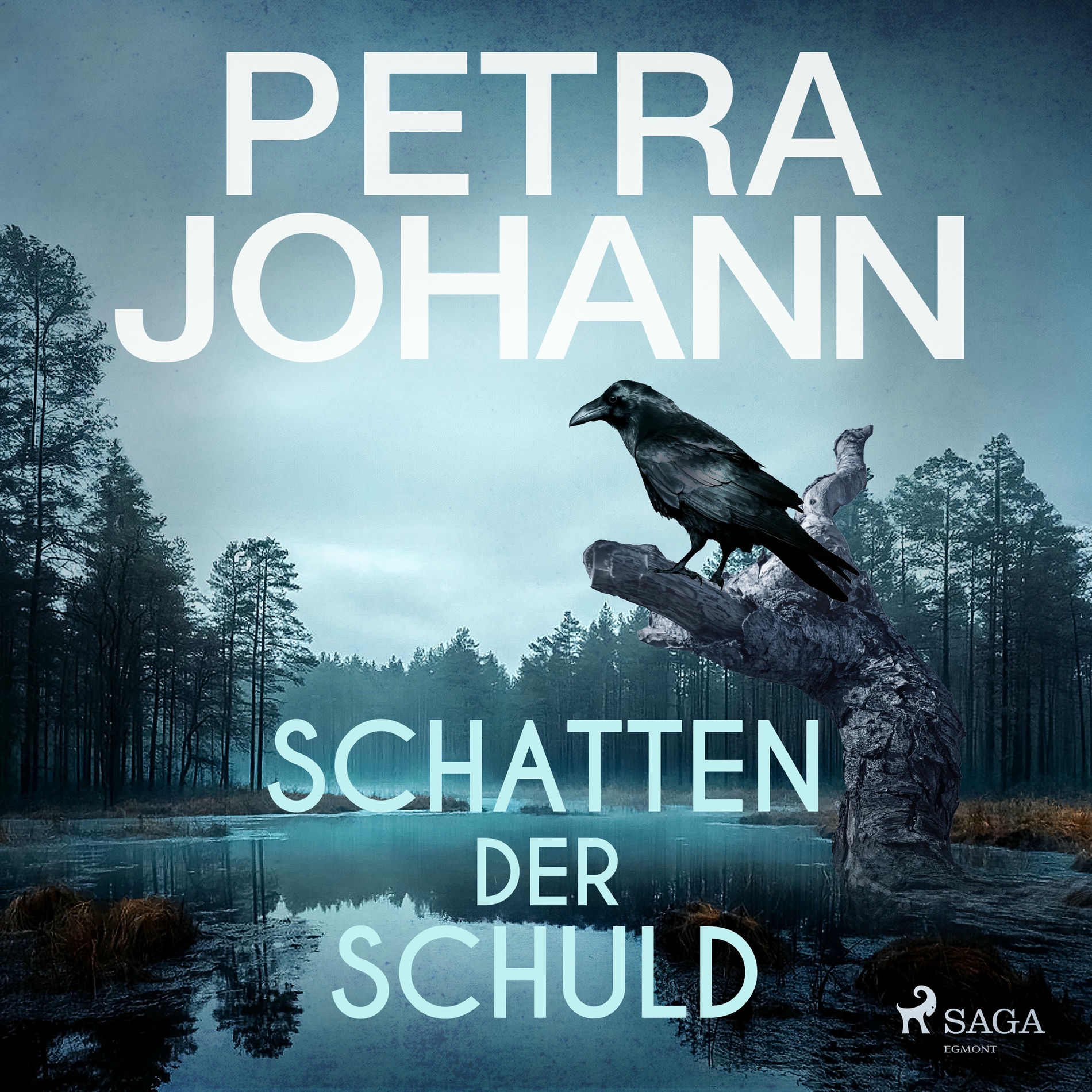 Album cover of Schatten der Schuld