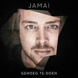 Cover of Genoeg Te Doen