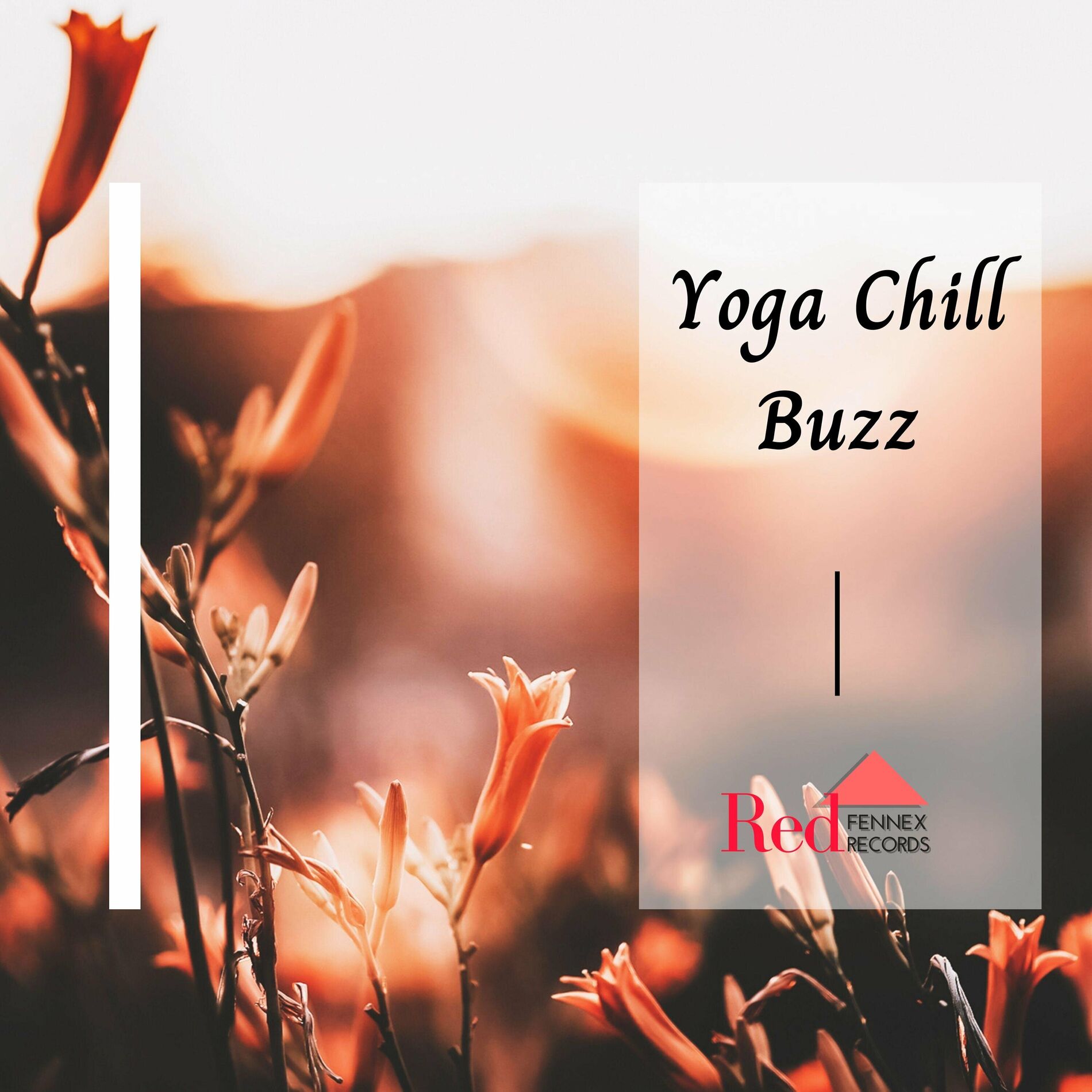 Album cover of Yoga Chill Buzz