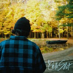 Cover of Cette shit