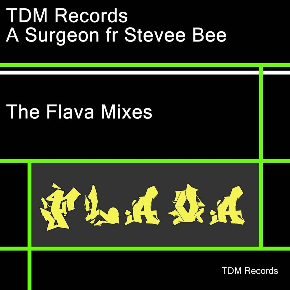 Picture of The Flava Mixes - Stevee Bee Remixs (feat. Stevee Bee)
