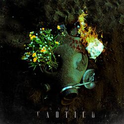 Cover of Caótico