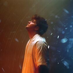Cover of How Could You (Be OK)