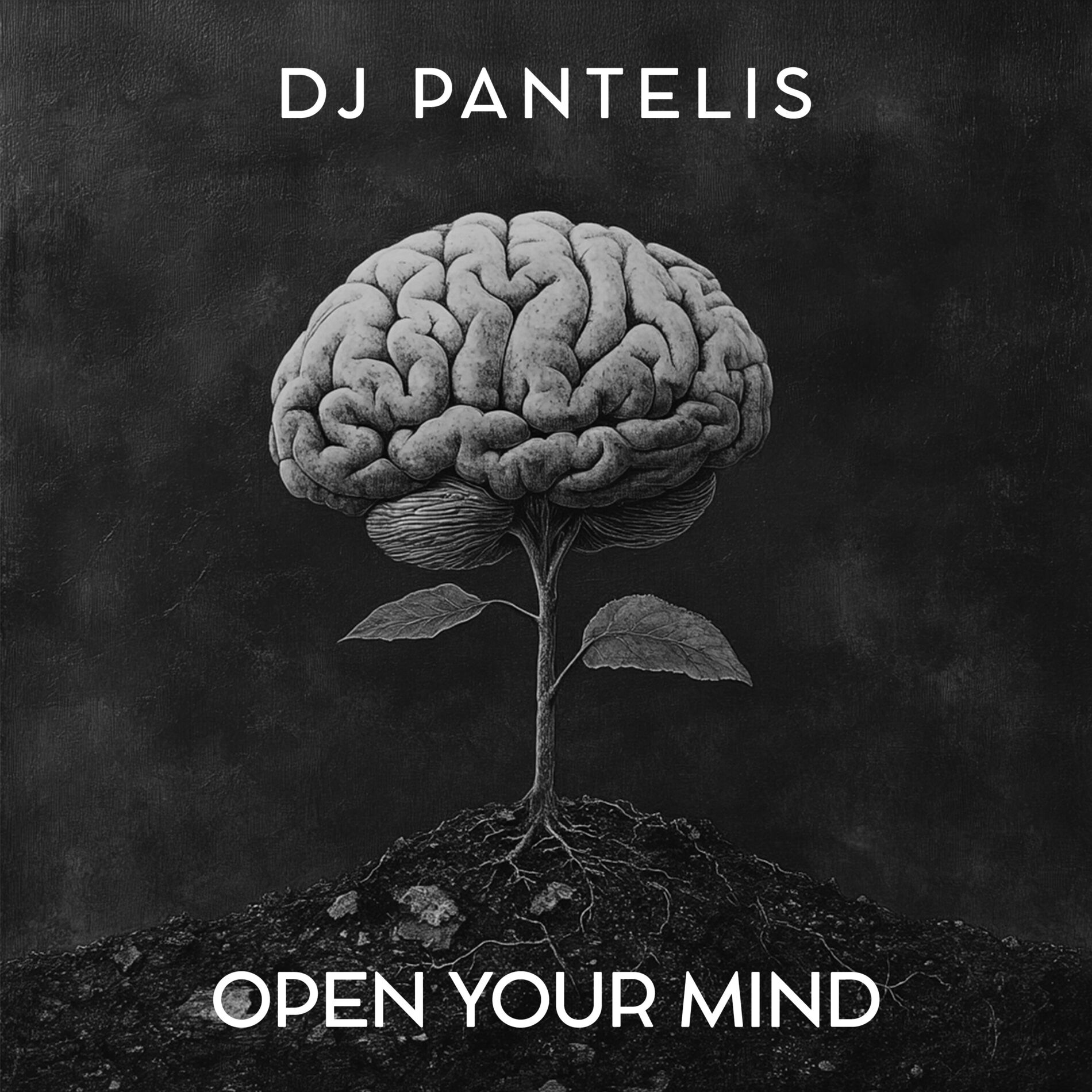Album cover of Open Your Mind