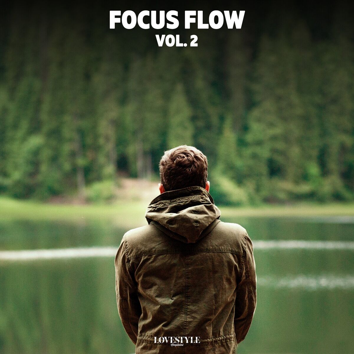 Album cover of FocusFlow, Vol. 2