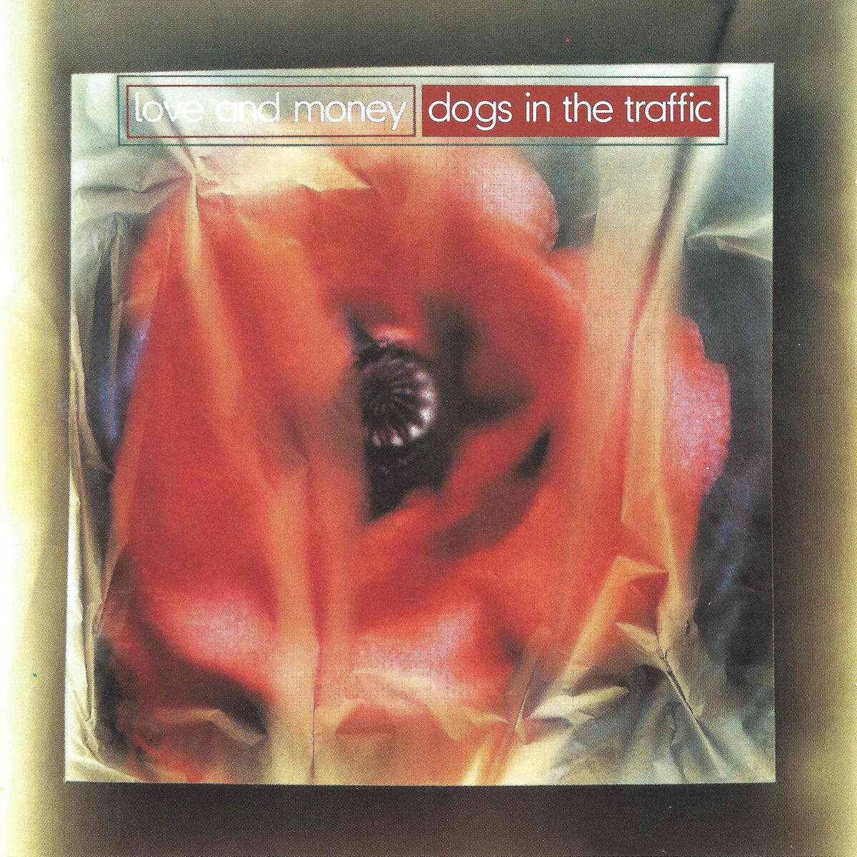 Album cover of Dogs In The Traffic