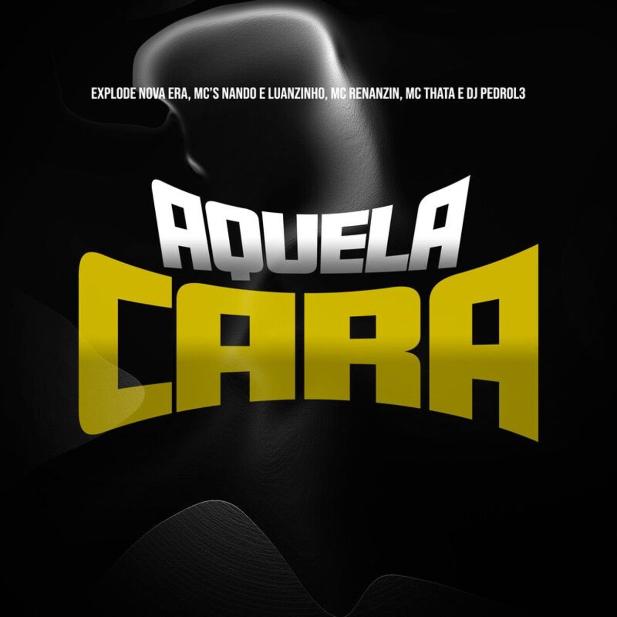 Album cover of Aquela Cara