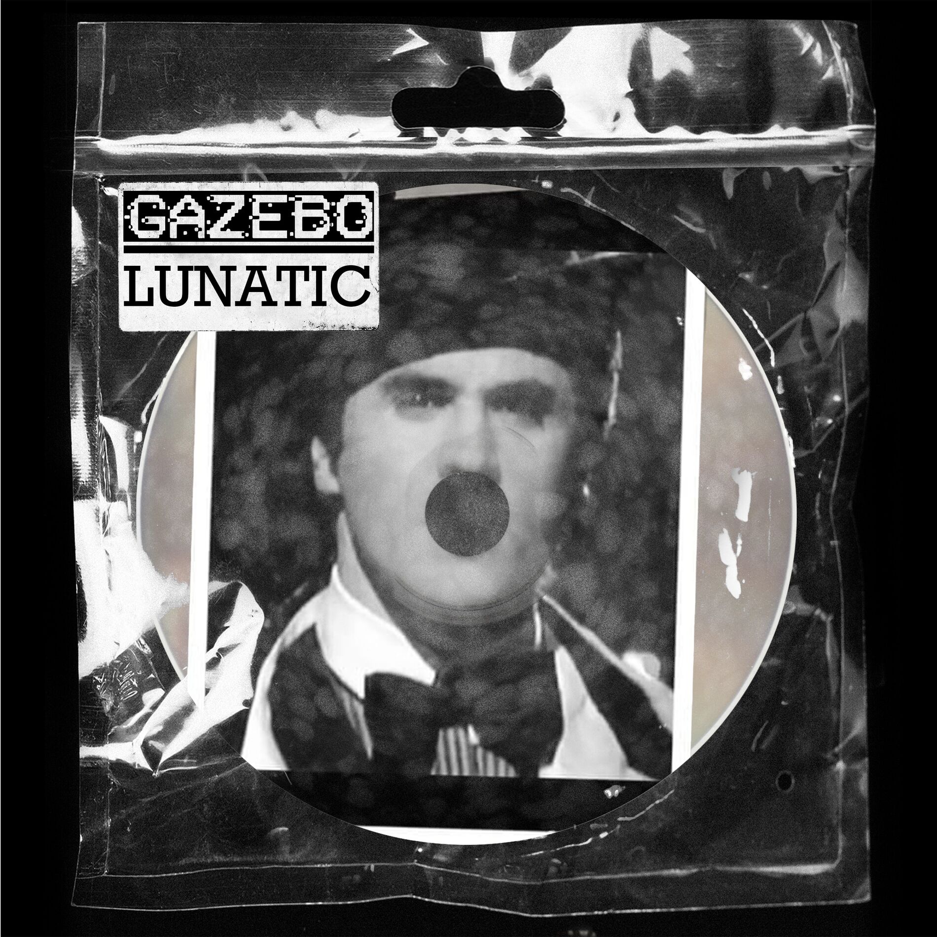 Album cover of Lunatic (Radio Edit)