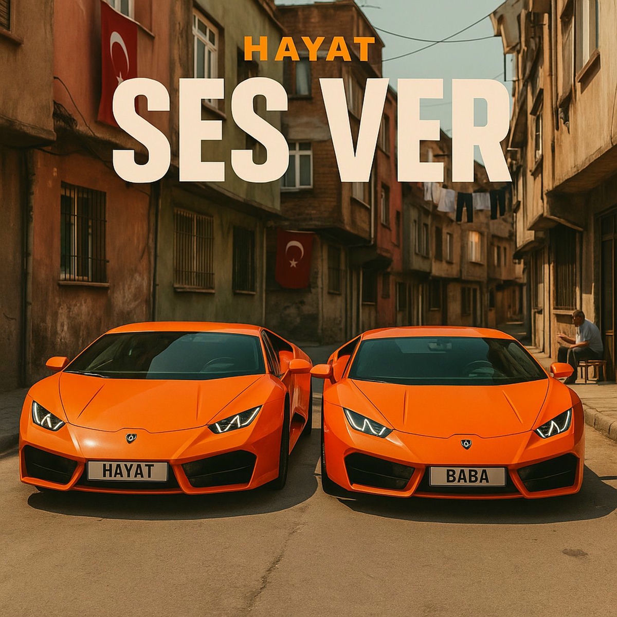 Album cover of Ses Ver