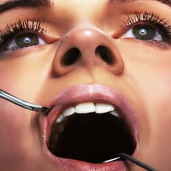 Cover of THE BLOB
