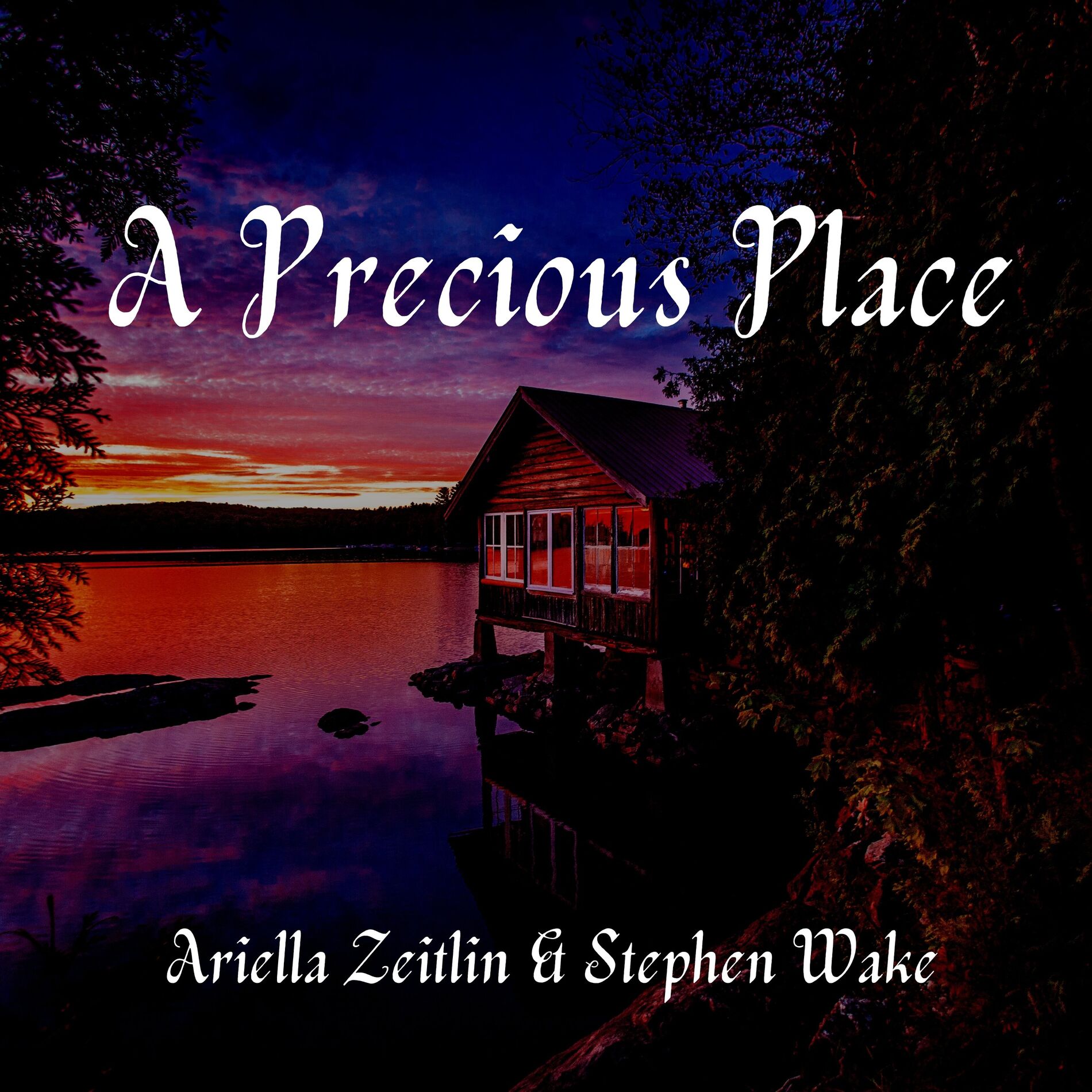 Album cover of A Precious Place