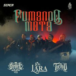 Cover of Fumando Mota