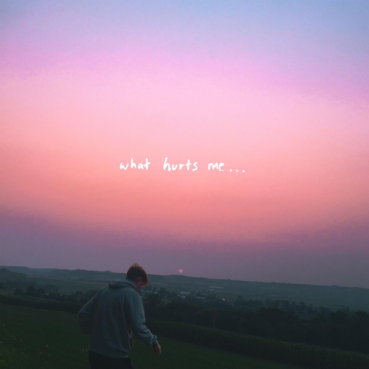 Album cover of you cried,