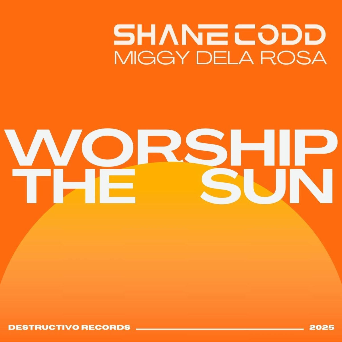 Album cover of Worship The Sun