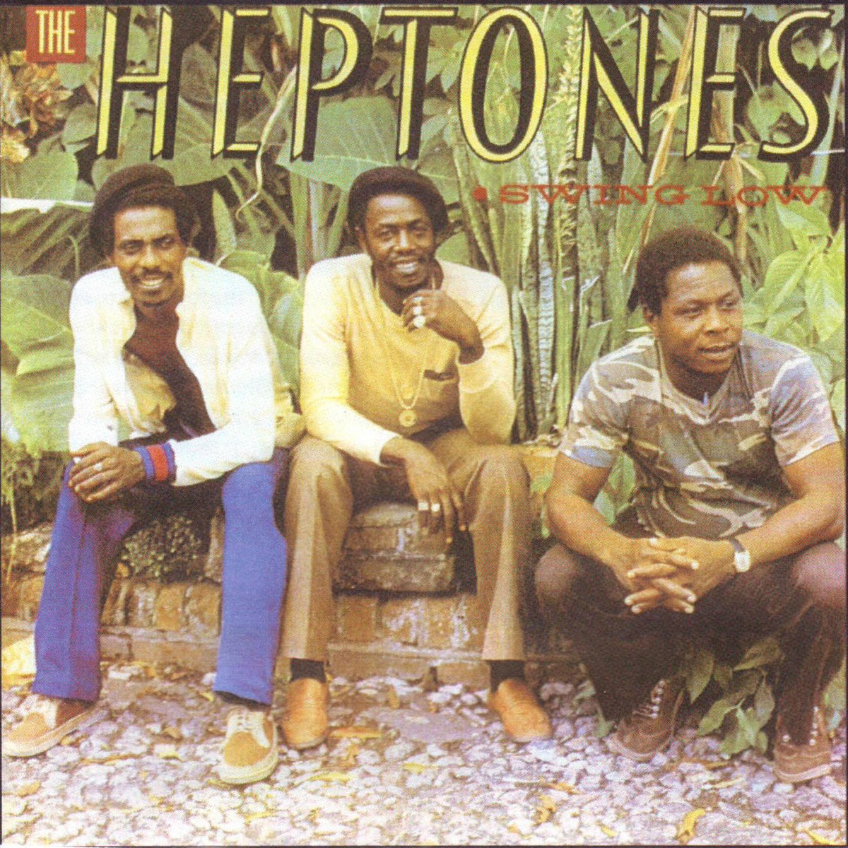 Album cover of Swing Low