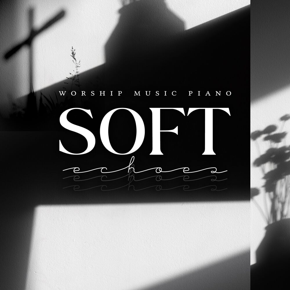 Picture of Soft Echoes
