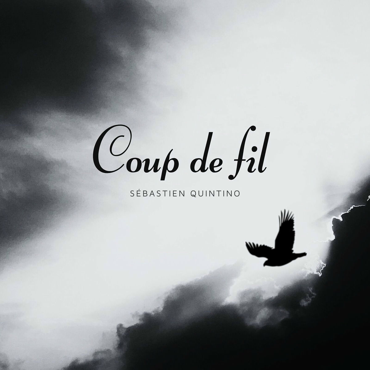 Album cover of Coup de fil