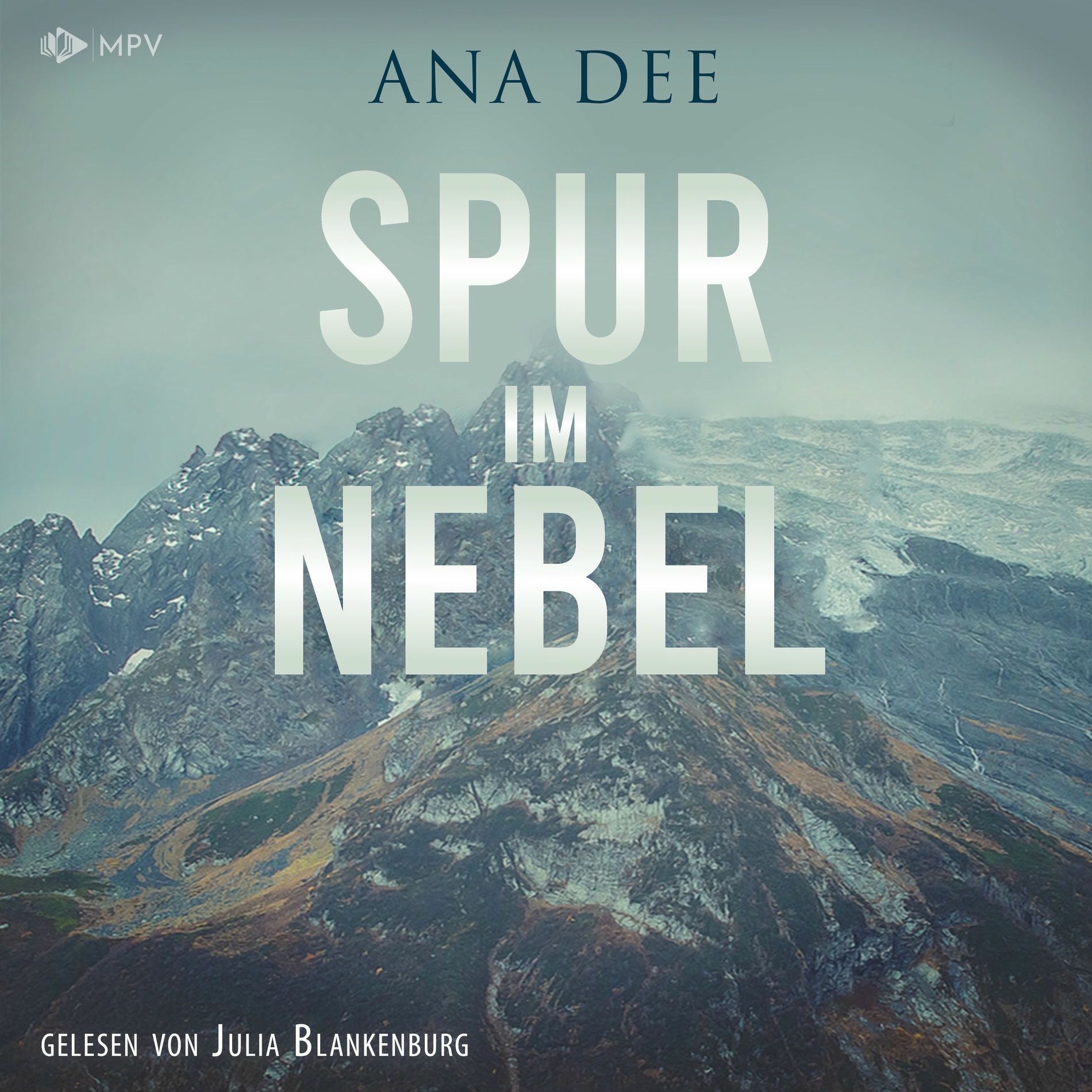 Album cover of Spur im Nebel (Schweden-Krimi)