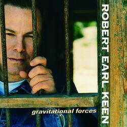 Cover of Gravitational Forces