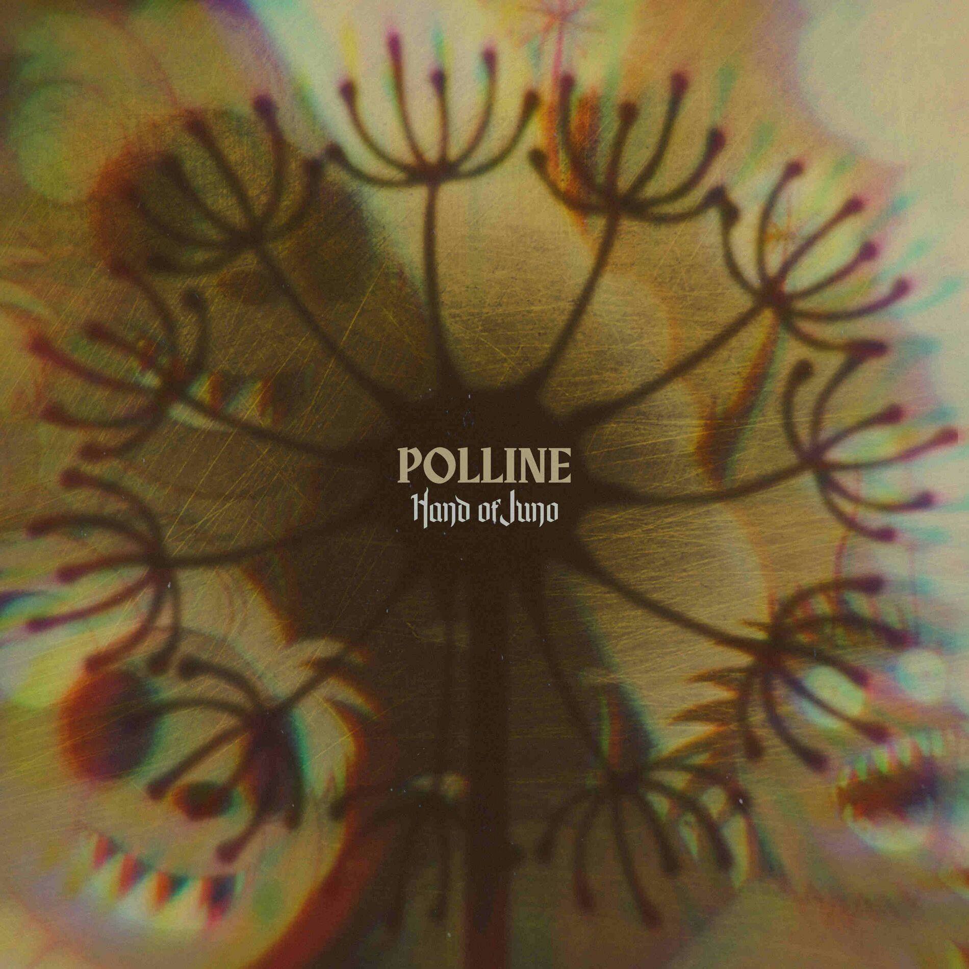 Album cover of Polline