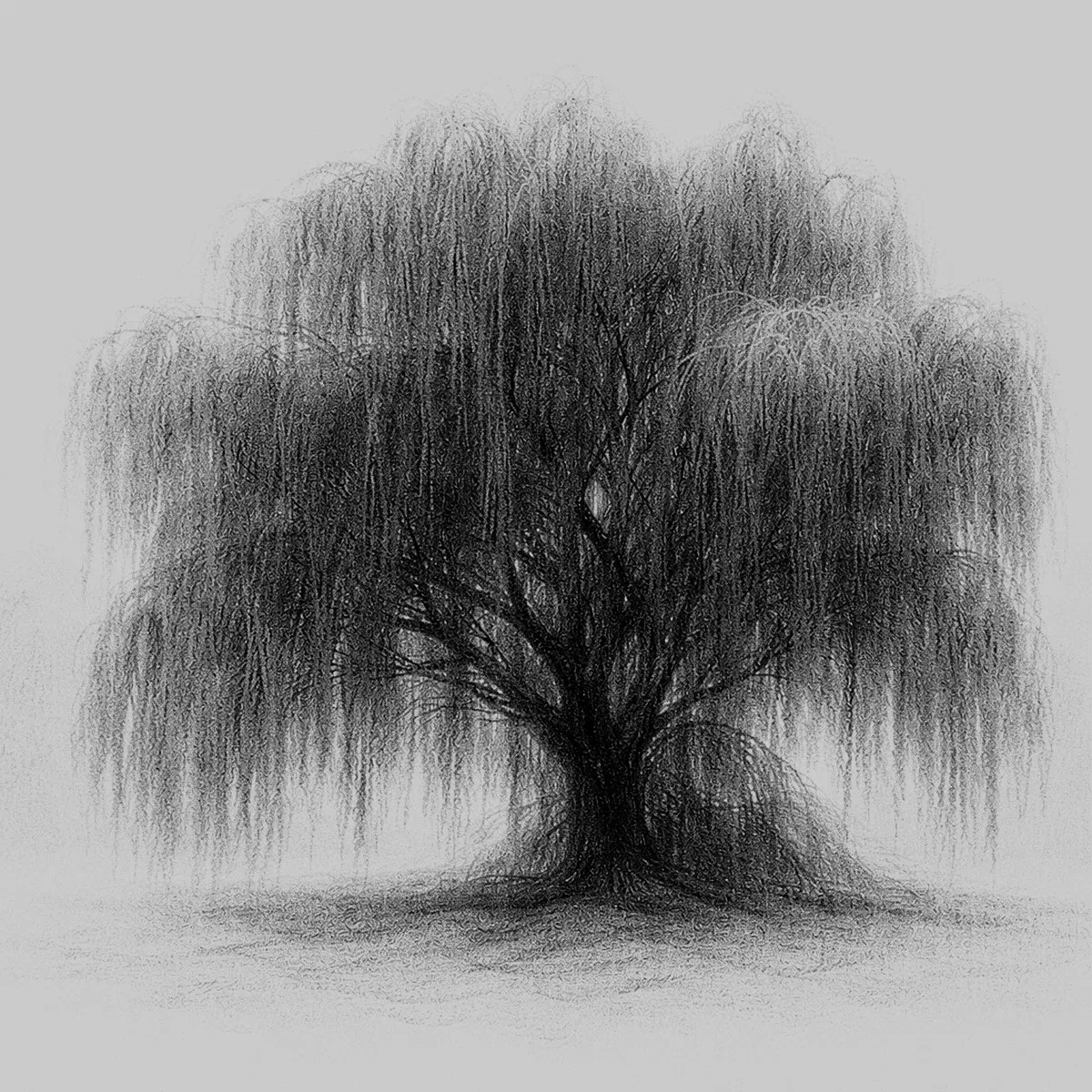 WILLOW, WILLOW