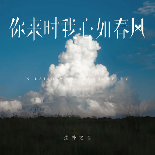 你来时我心如春风