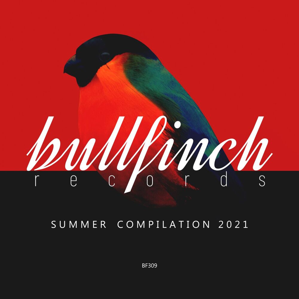 Picture of Bullfinch Summer 2021 Compilation