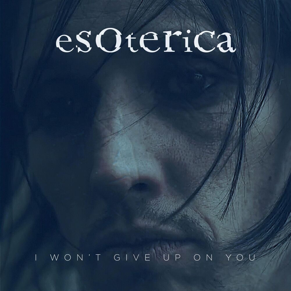 Picture of I Won't Give up on You