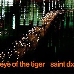Cover of Eye of the Tiger