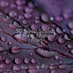 Cover of 50 Sleep Sounds of Rain: Natural Rain