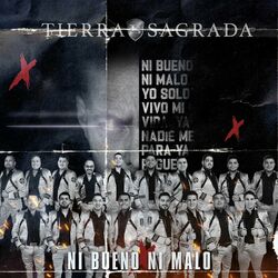 Cover of Ni Bueno Ni Malo