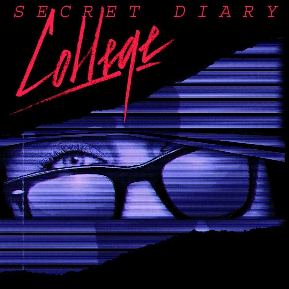 Picture of Secret Diary