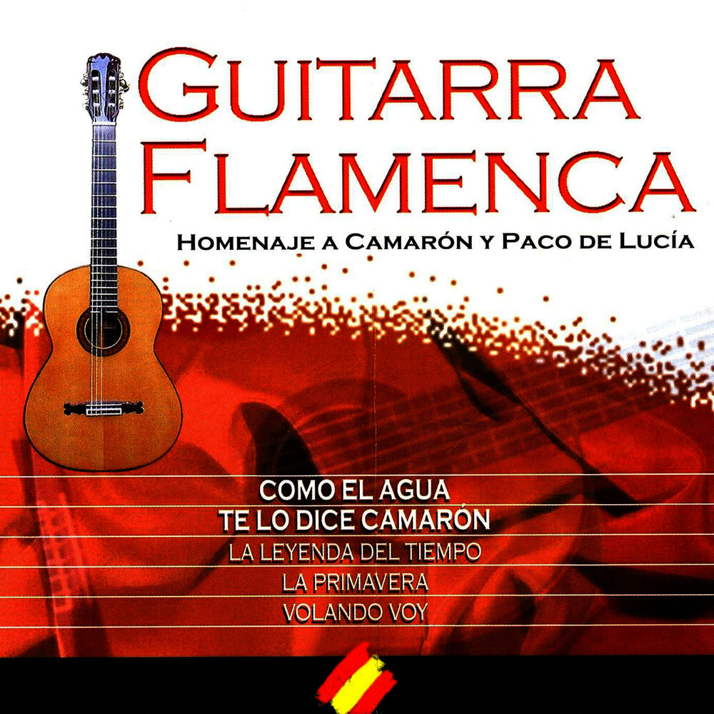 Picture of Nº 5 "Your Songs On Spanish Guitar" (Homenaje Flamenco A "Camarón De La Isla")