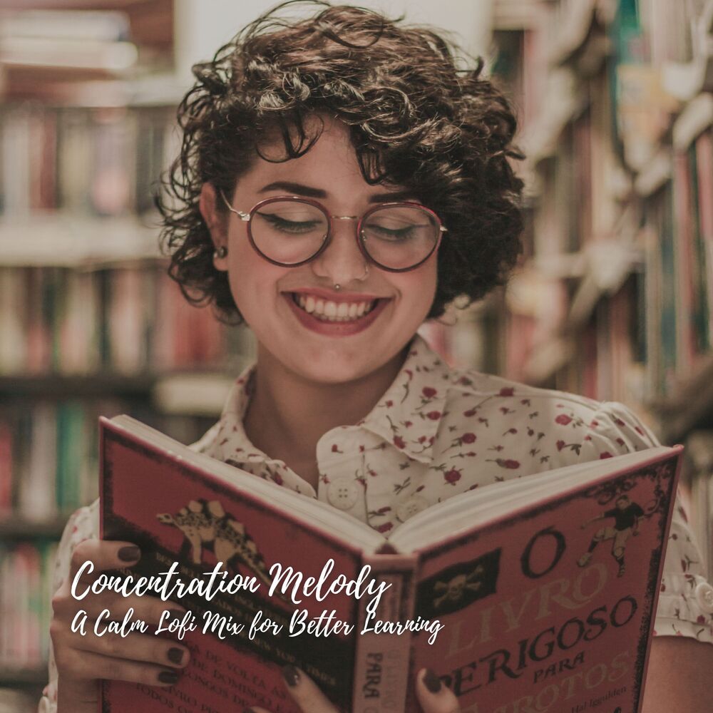Picture of Concentration Melody: A Calm Lofi Mix for Better Learning