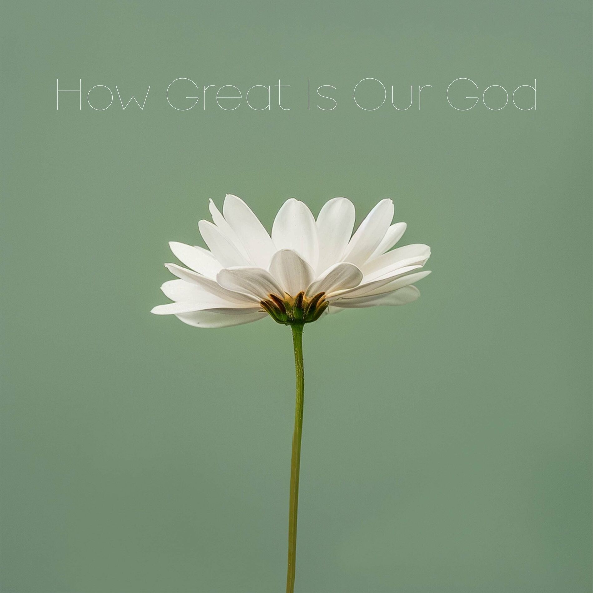 Album cover of How Great Is Our God