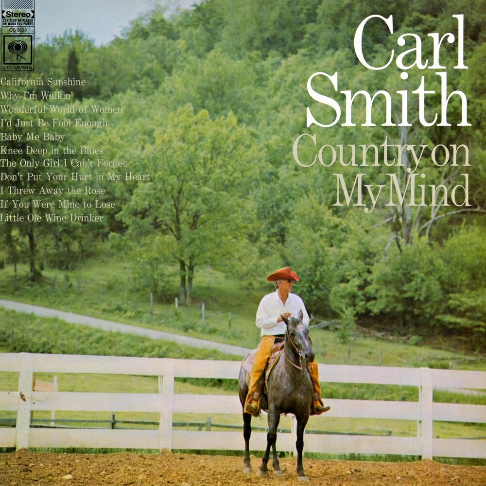 Picture of Country On My Mind