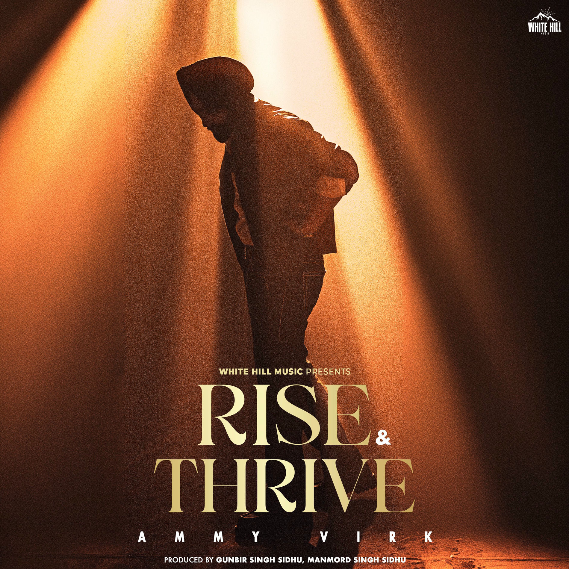 Album cover of Rise & Thrive