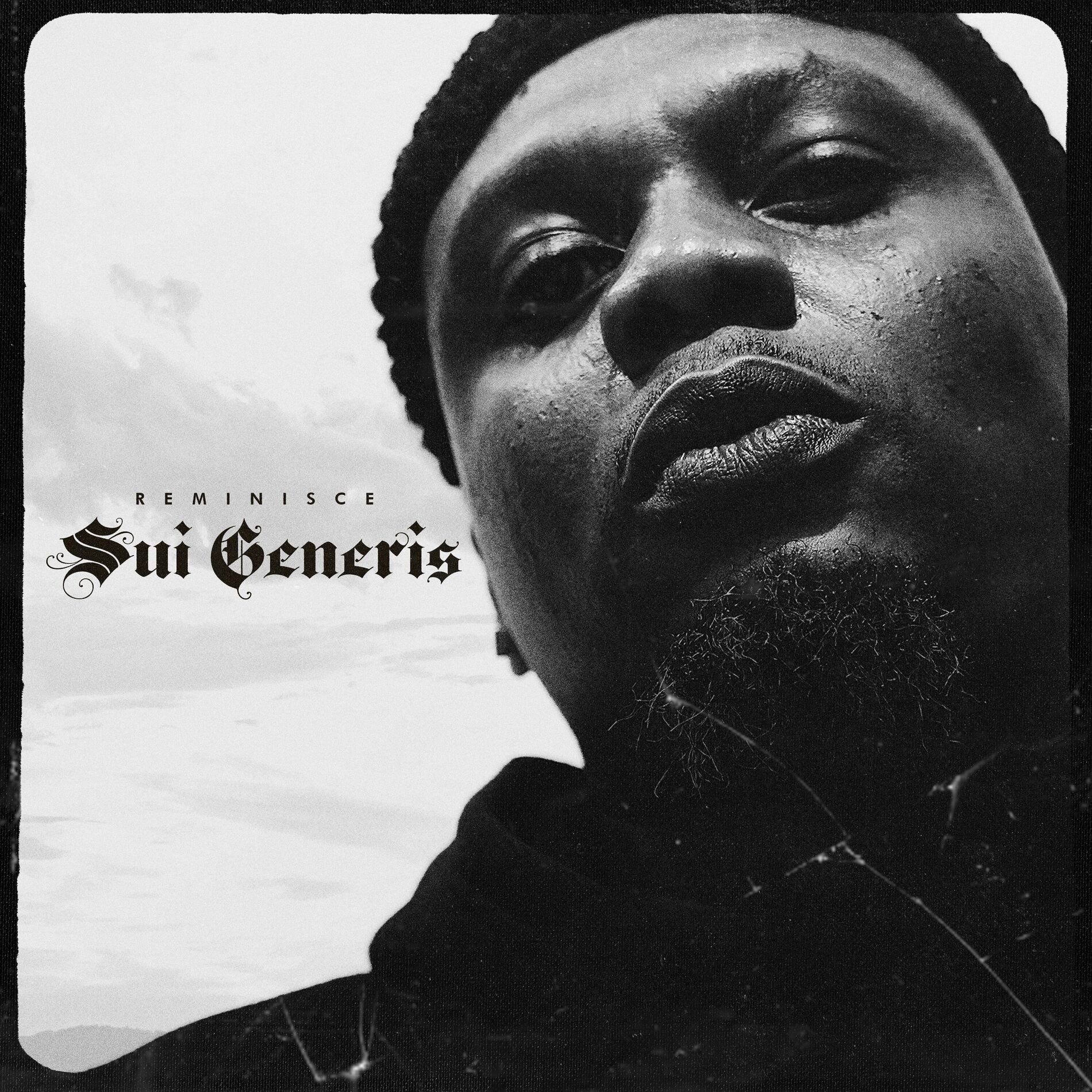 Album cover of Sui Generis