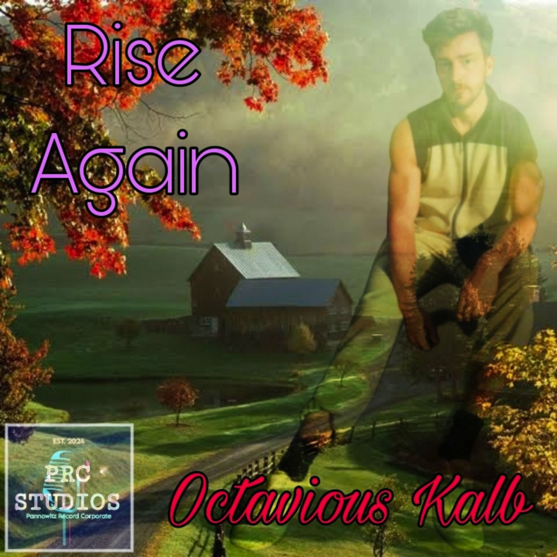 Album cover of Rise Again