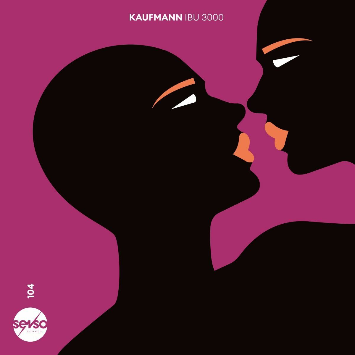 Album cover of Ibu 3000