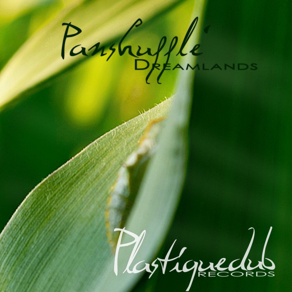 Picture of Dreamlands