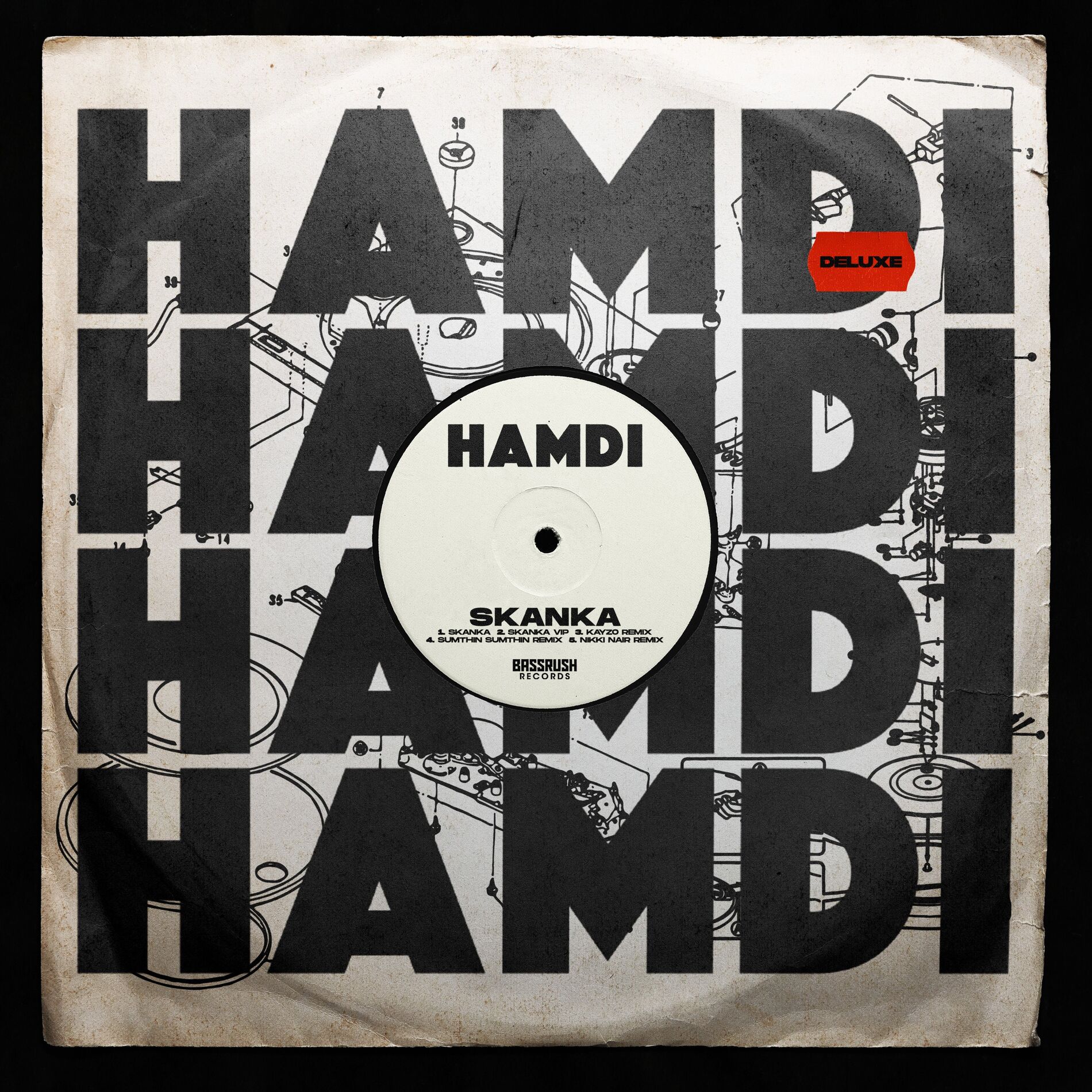 Album cover of Skanka