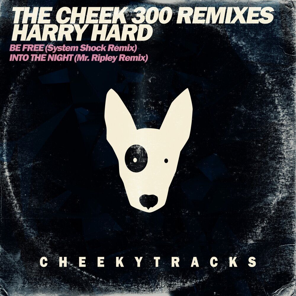 Picture of The Cheek300 Mixes